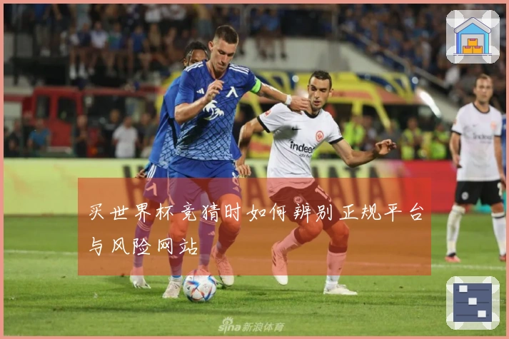 买世界杯竞猜时如何辨别正规平台与风险网站