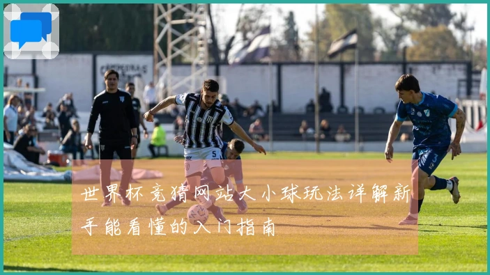 世界杯竞猜网站大小球玩法详解新手能看懂的入门指南