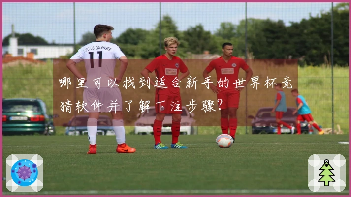 哪里可以找到适合新手的世界杯竞猜软件并了解下注步骤？