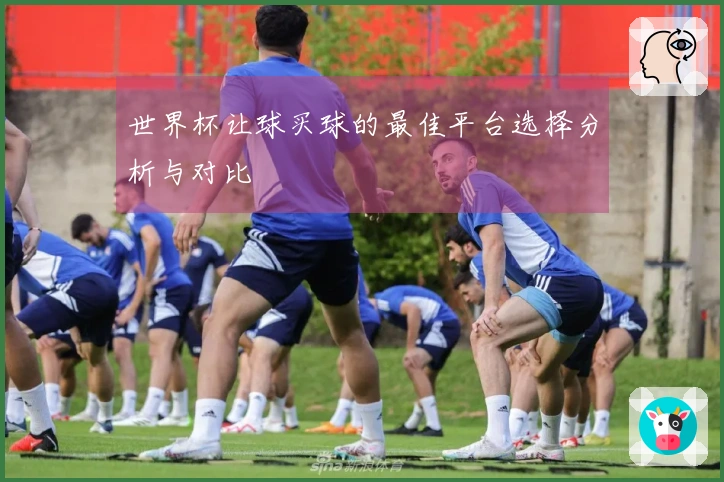 世界杯让球买球的最佳平台选择分析与对比
